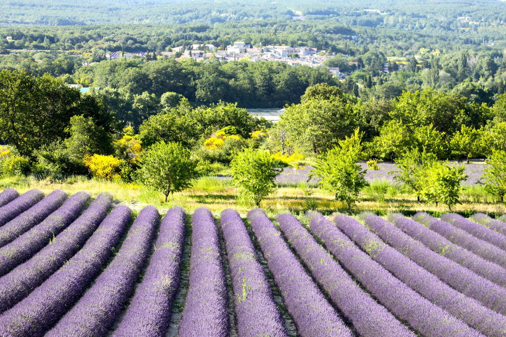 La Bugadiere Salles-sous-Bois Ngoại thất bức ảnh